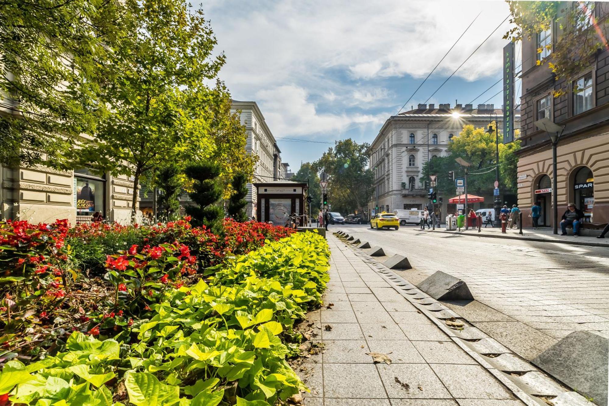Cozy Little Flat In The City Center Βουδαπέστη Εξωτερικό φωτογραφία